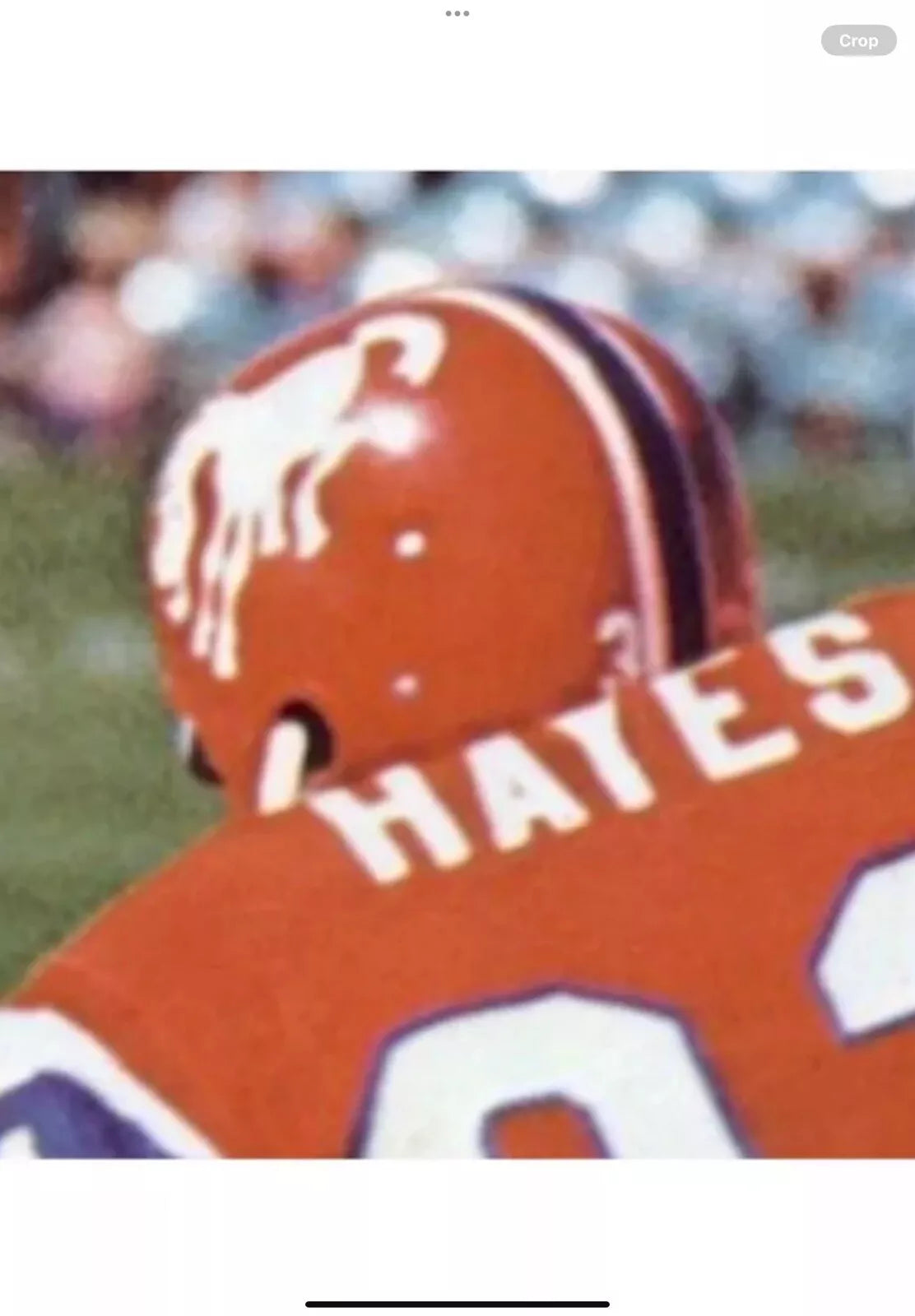 RK2 Style Suspension Football Helmet 1966 Custom Denver Broncos Crazy Horse  WESTBROOKSPORTSCARDS