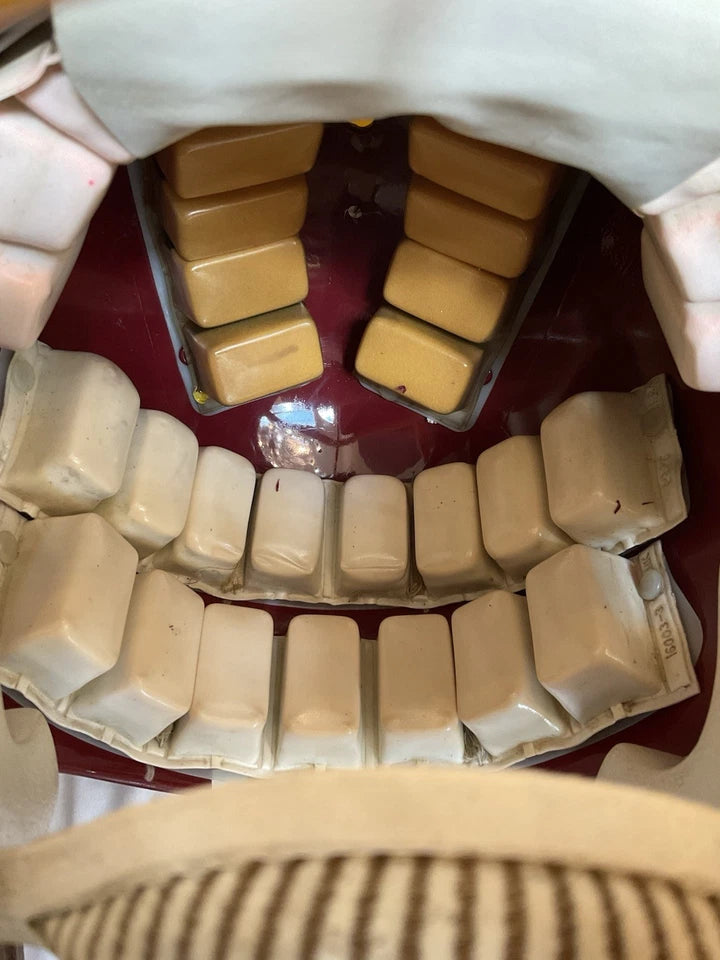 Riddell Football Helmet Custom 1982 Washington Redskins Tucked Feather Riggins WESTBROOKSPORTSCARDS