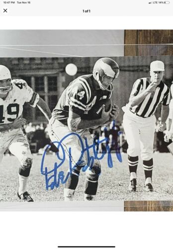 RK4 Style Football Helmet Philadelphia Eagles Painted Wings Pete Retzlaff Sports Mem, Cards & Fan Shop:Autographs-Original:Football-NFL:Helmets WESTBROOKSPORTSCARDS