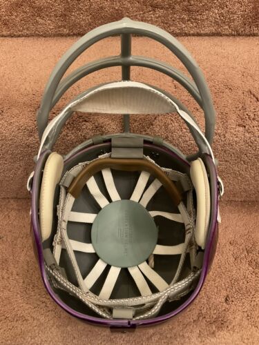 Minnesota Vikings Painted Horns RK2 Style Suspension Football Helmet Tinglehoff Sports Mem, Cards & Fan Shop:Fan Apparel & Souvenirs:Football-NFL Riddell