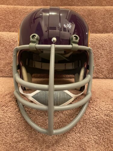Minnesota Vikings Painted Horns RK2 Style Suspension Football Helmet Tinglehoff Sports Mem, Cards & Fan Shop:Fan Apparel & Souvenirs:Football-NFL Riddell