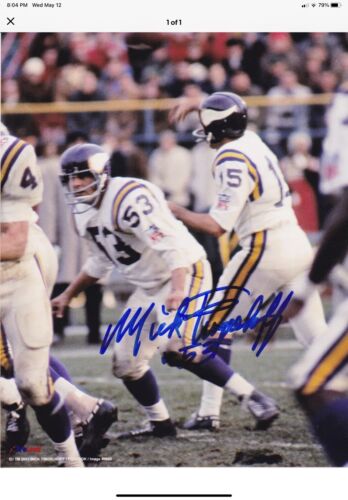 Minnesota Vikings Painted Horns RK2 Style Suspension Football Helmet Tinglehoff Sports Mem, Cards & Fan Shop:Fan Apparel & Souvenirs:Football-NFL Riddell