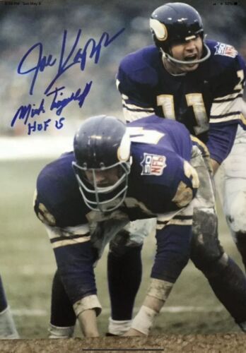 Minnesota Vikings Painted Horns RK2 Style Suspension Football Helmet Joe Kapp Sports Mem, Cards & Fan Shop:Fan Apparel & Souvenirs:Football-NFL Riddell