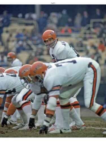Vintage Riddell Kra-Lite Suspension Football Helmet-Cincinnati Bengals Anderson Sports Mem, Cards & Fan Shop:Fan Apparel & Souvenirs:Football-NFL Riddell