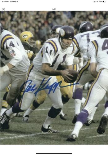 Minnesota Vikings Painted Horns RK2 Style Suspension Football Helmet Joe Kapp Sports Mem, Cards & Fan Shop:Fan Apparel & Souvenirs:Football-NFL Riddell