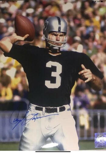 Riddell Kra-Lite RK2 Suspension 1967 Oakland Raiders Football Helmet- Lamonica Sports Mem, Cards & Fan Shop:Fan Apparel & Souvenirs:Football-NFL Riddell