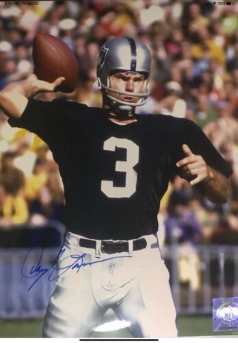 Riddell Kra-Lite RK2 Suspension 1967 Oakland Raiders Football Helmet- Lamonica Sports Mem, Cards & Fan Shop:Fan Apparel & Souvenirs:Football-NFL Riddell   