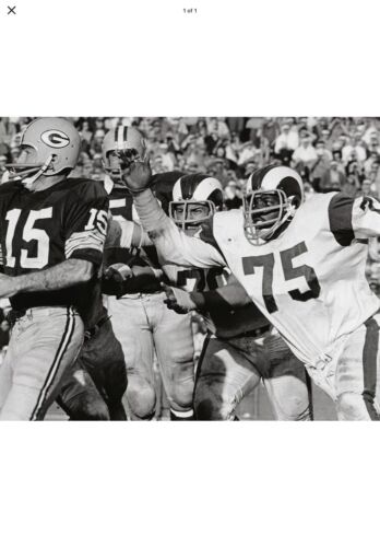 Los Angeles Rams Painted Horns RK2 Style Suspension Football Deacon Jones Sports Mem, Cards & Fan Shop:Fan Apparel & Souvenirs:Football-NFL Riddell