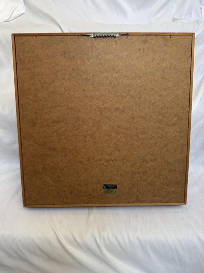 Vintage Riddell 1969 RK2 Baltimore Colts 1/2 Helmet Plaque mounted framed Rare Riddell