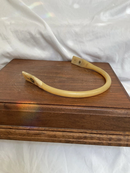 Vintage Wilson 1-Bar Single-Bar Suspension Football Helmet Facemask WESTBROOKSPORTSCARDS