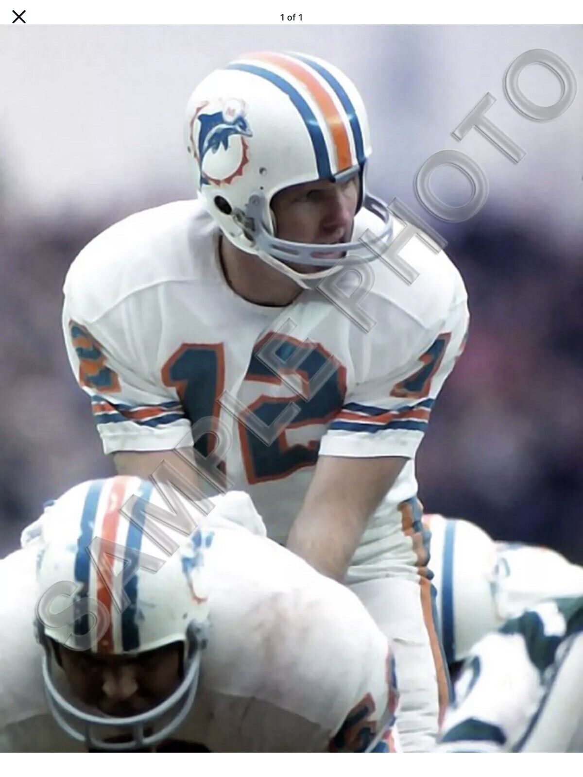 Bob Griese Autographed RK2 Suspension Football Helmet Miami