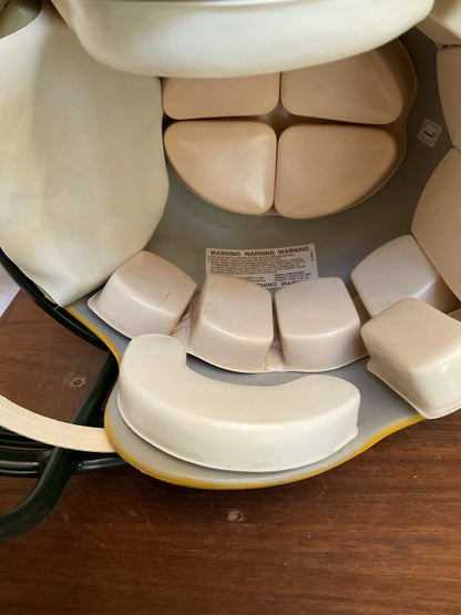 RIddell VSR-4 Football Helmet- Custom Green Bay Packers Brett Favre