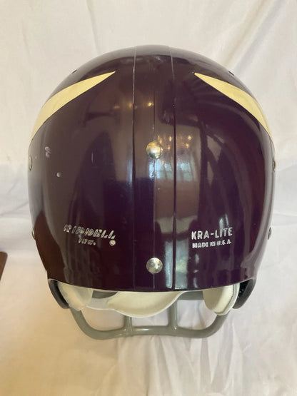 Minnesota Vikings Riddell Throwback TK Game Football Helmet 1970 Alan Page WESTBROOKSPORTSCARDS
