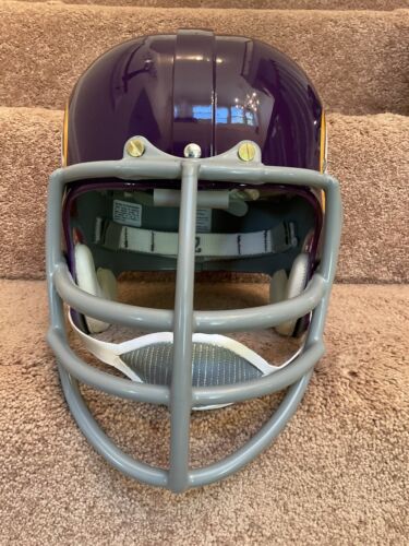 Minnesota Vikings Painted Horns RK2 Style Suspension Football Helmet Carl Eller